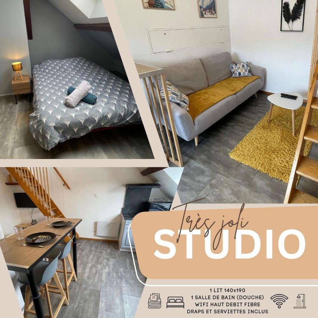 Superbe Studio A Proximite Du Centre-Ville Saint-Die-des-Vosges Exteriér fotografie
